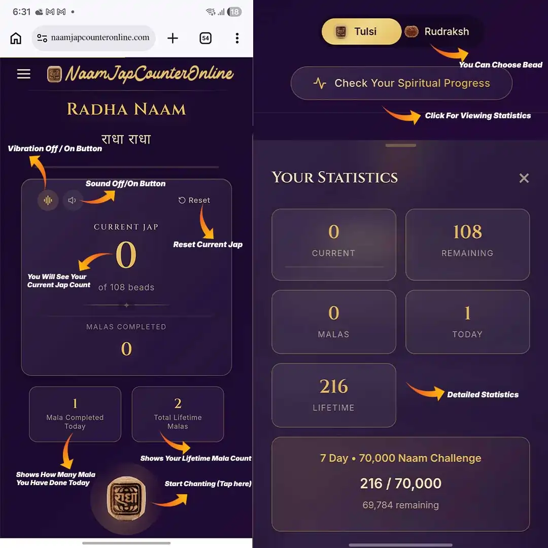 How to use Naam Jap Counter Online step by step guide
