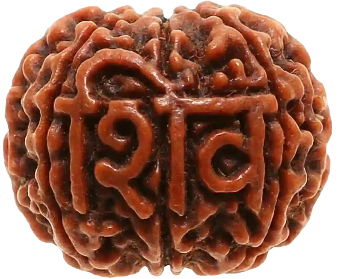 Rudraksha bead